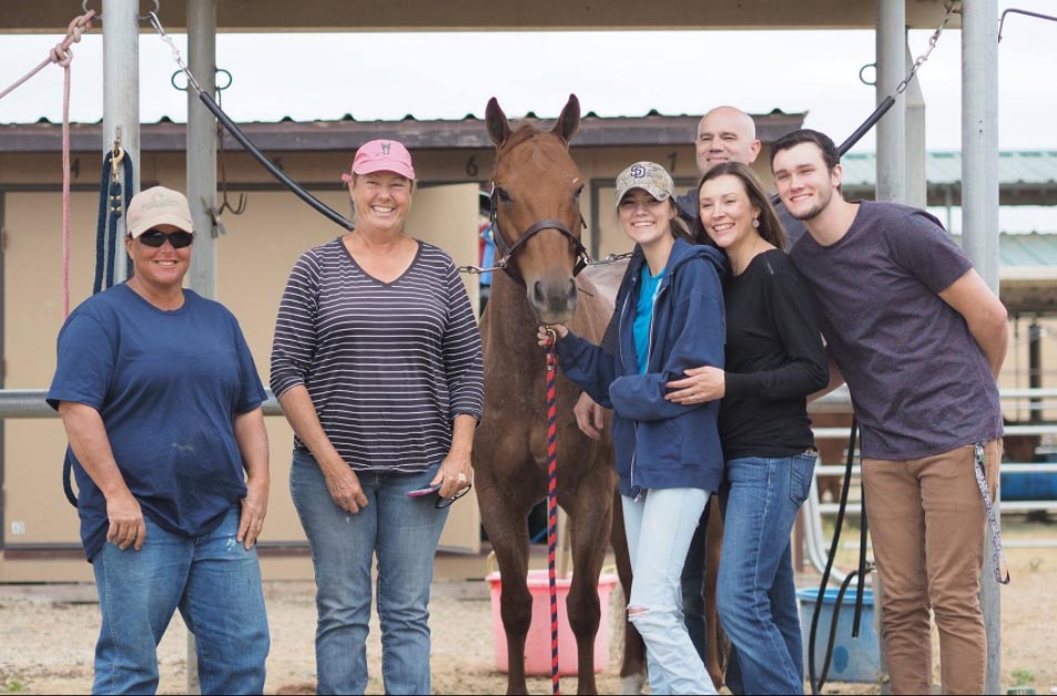 Horse Donated To 16 Year Old Girl Suffering From Cancer